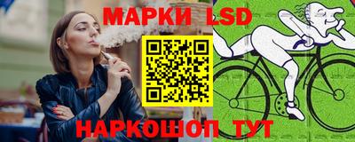 СК Нальчик
