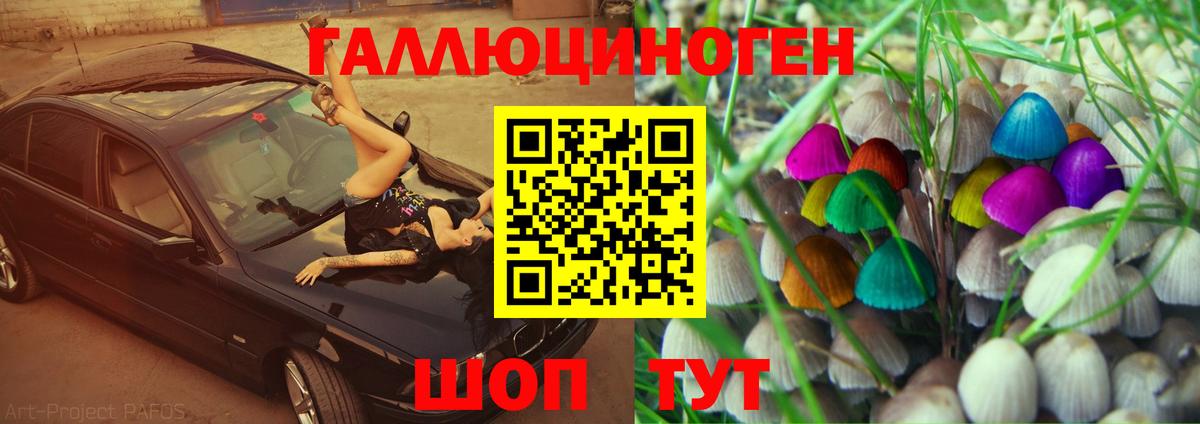 Галлюциногенные грибы Psilocybe  Галлюциногенные грибы мицелий  Славгород  Вход с VPN 