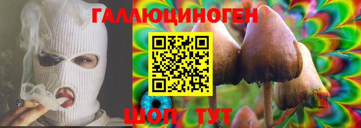 Галлюциногенные грибы прущие грибы Славгород